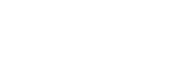 גינדי לוגו